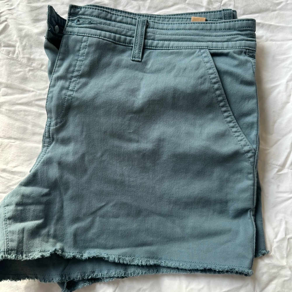 NWT Prana soft Blue Women's Shorts size 12